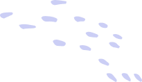 online course